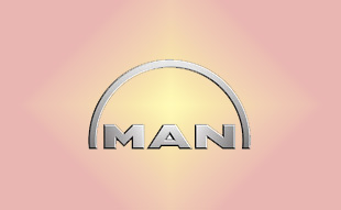 ✓ MAN 06.31410.0800 Запчасти МАН (MAN) 