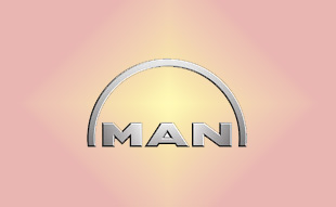 ✓ MAN 36.74967.0025 Запчасти МАН (MAN) 